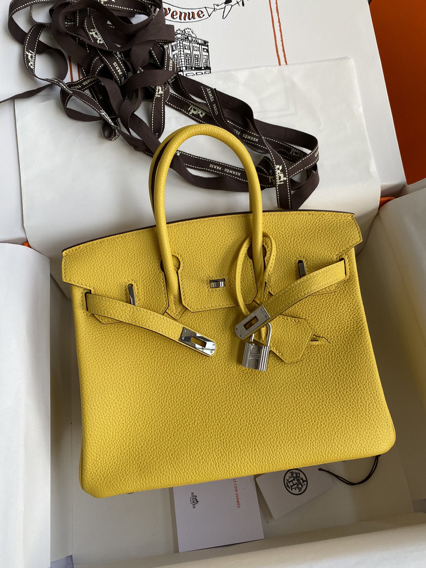 Hermes Birkin 25CM Togo Leather Handbag Yellow